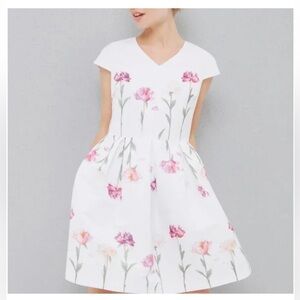 Ted Baker Ted Baker Callila Fit and Fare
Sketchbook Dress Sz Ted 2 ( US 6)